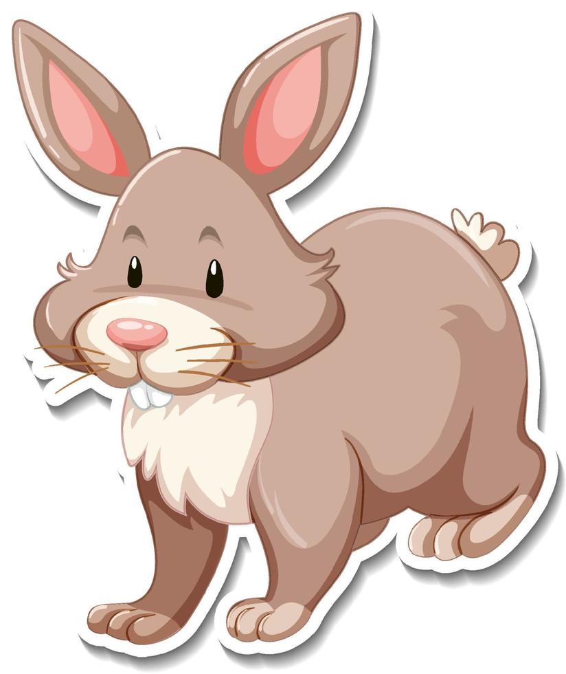 Rabbit cartoon character on white background vector