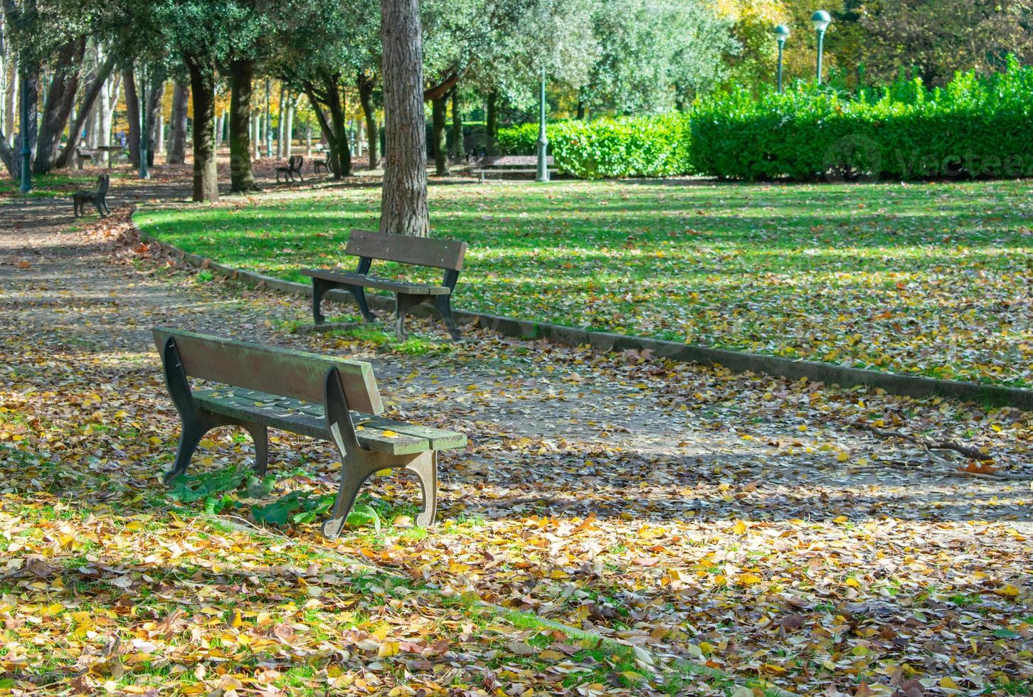 walk in the park with benches and dry leaves photo