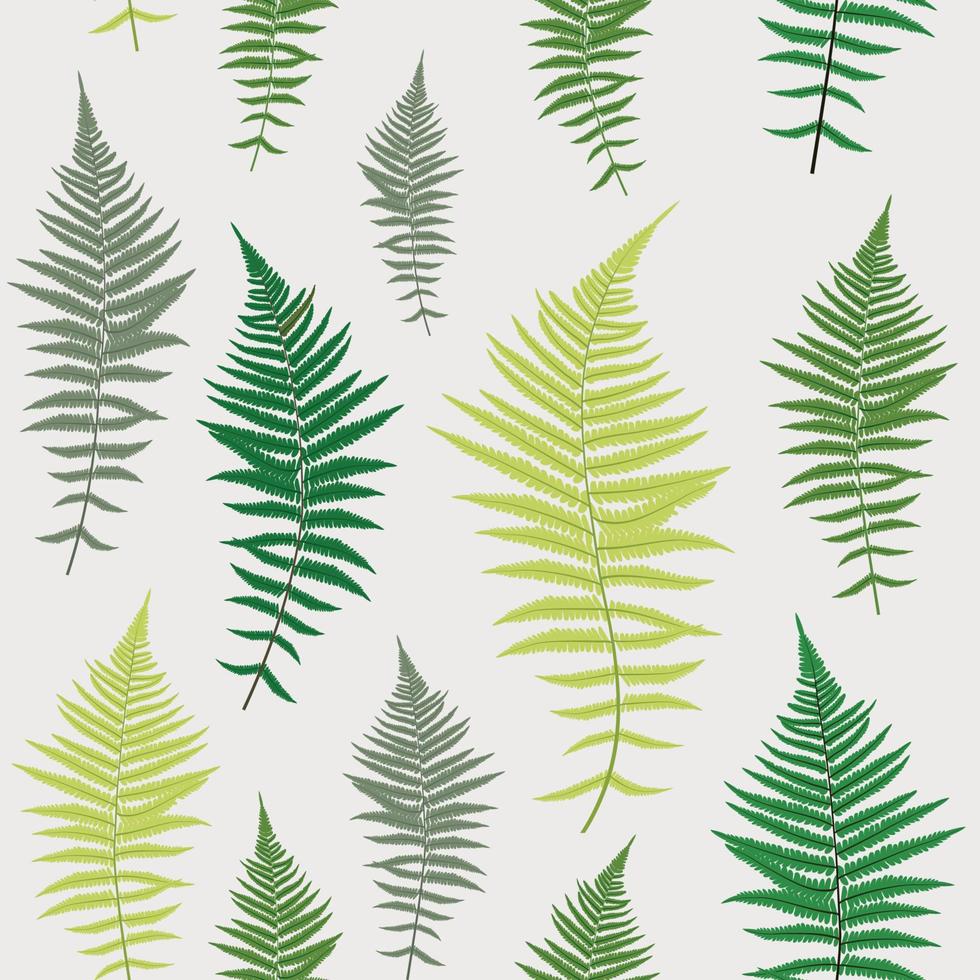 Fern Leaf Vector Fern Leaf Vector Seamless Pattern Background Illustration