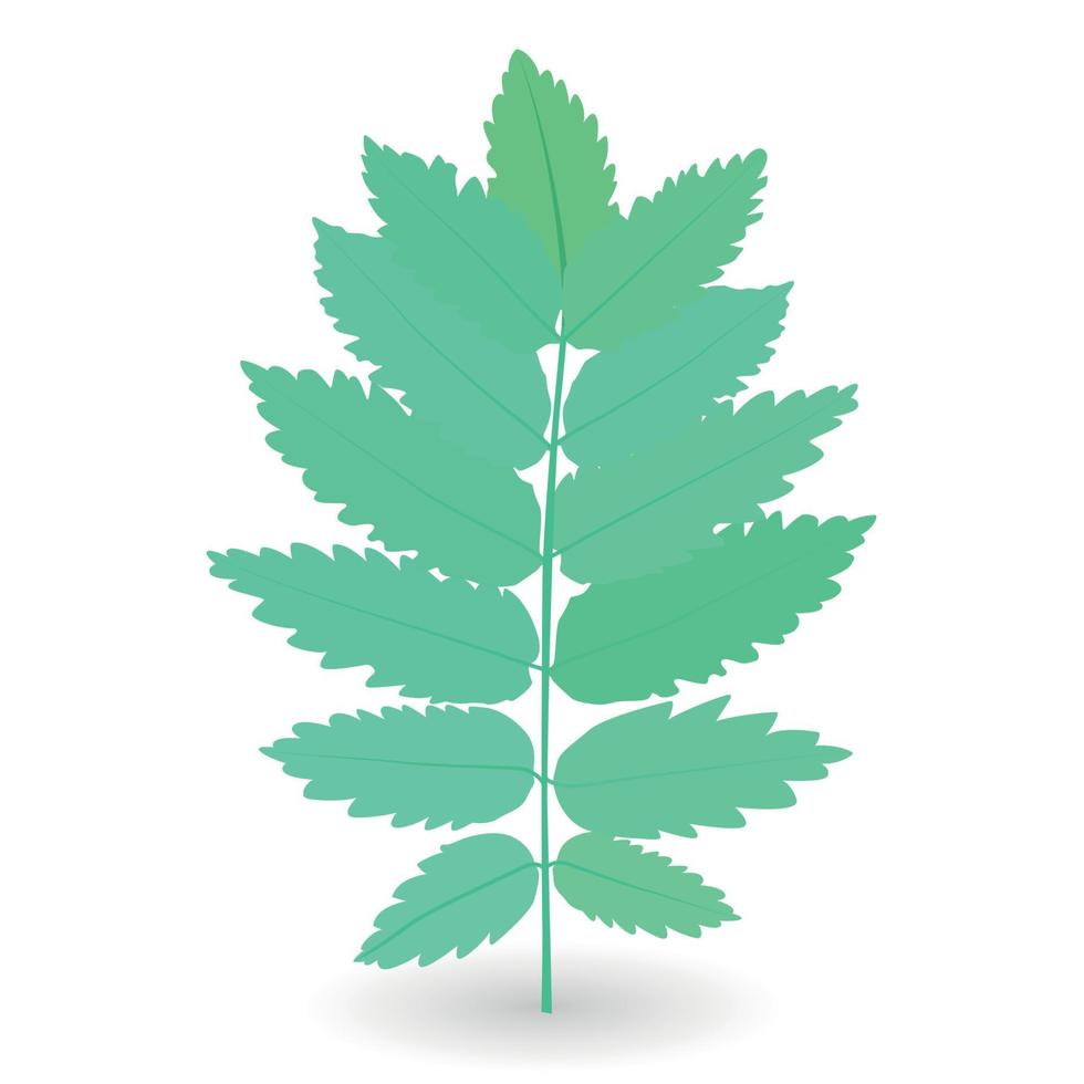 Colorful naturalistic green leaves on branch. Vector Illustration.