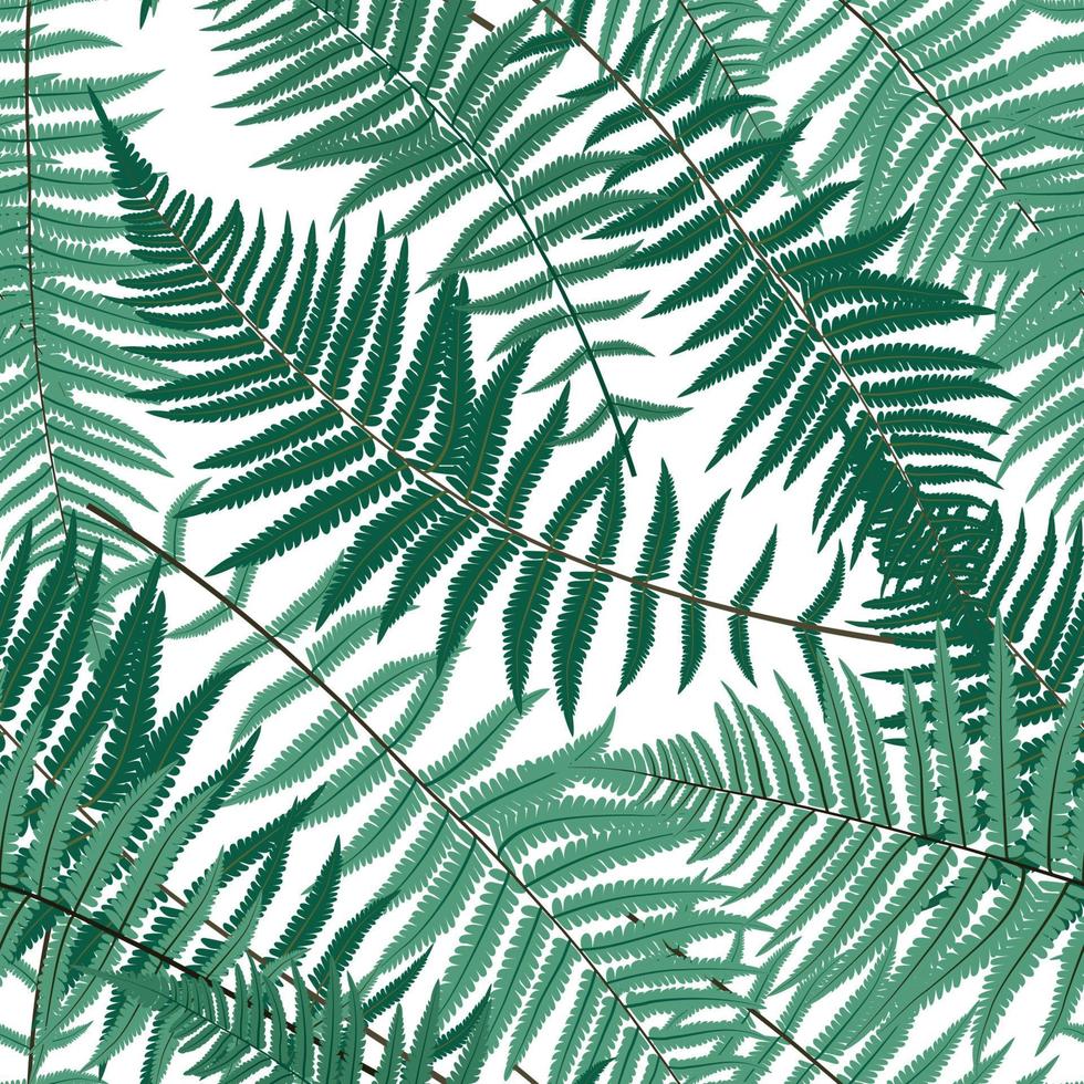 Fern Leaf Vector Fern Leaf Vector Seamless Pattern Background Illustration