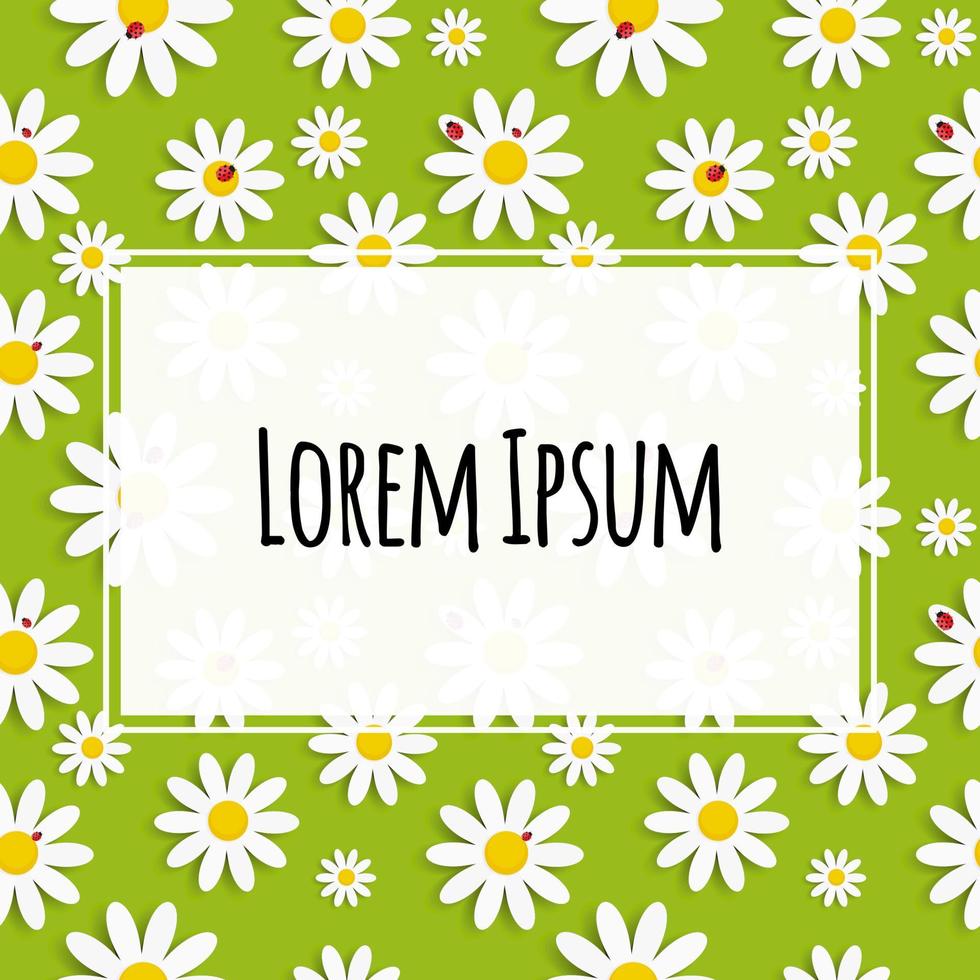 Flora Daisy Design Background with Frame Vector Illustartion