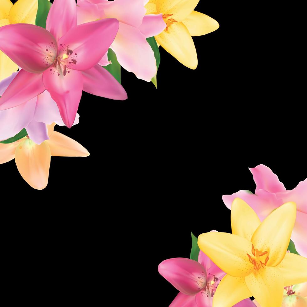 Vector Illustration with Lily Flowers Isolated on Black Background