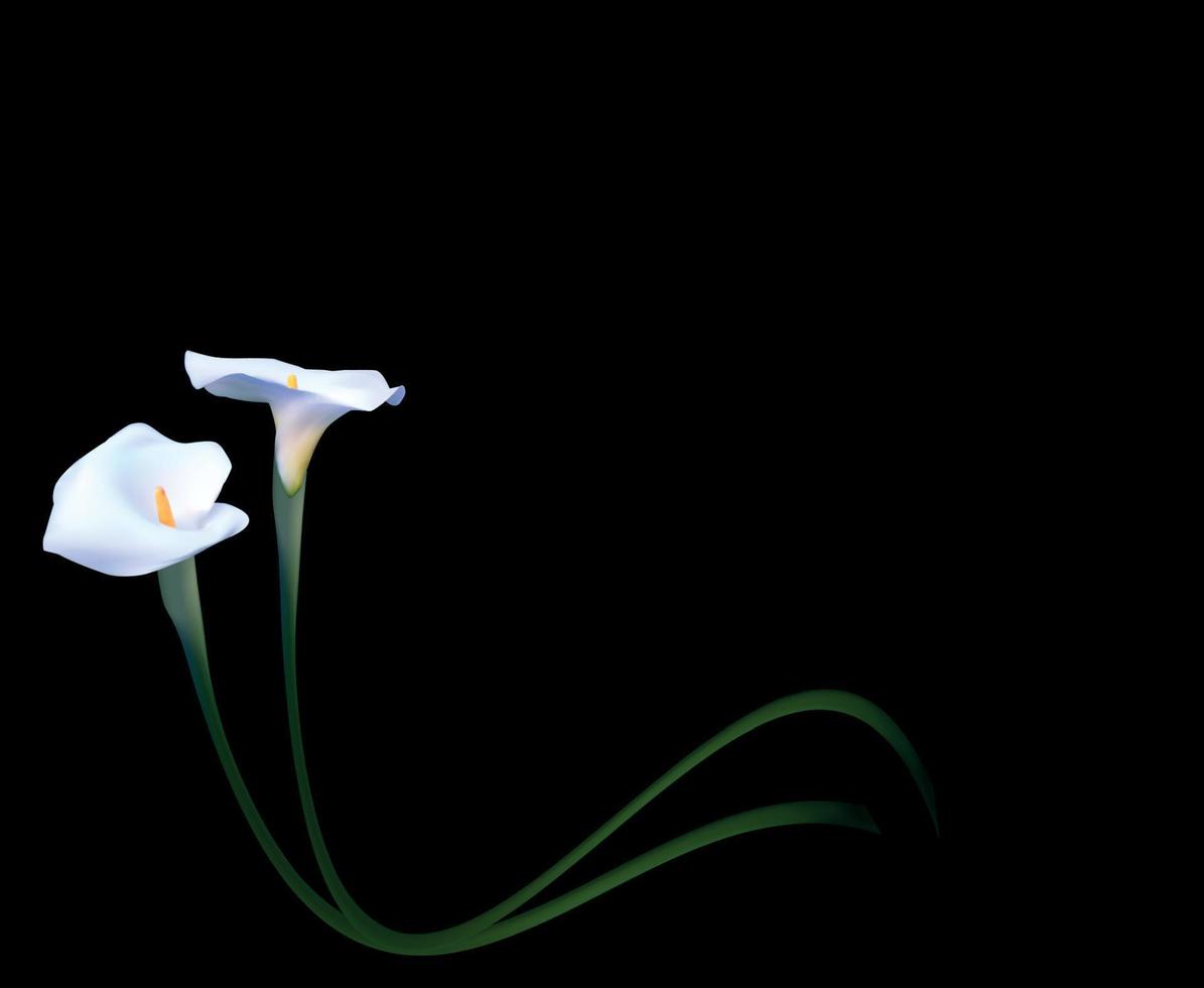 Fondo floral abstracto con flor de cala. ilustración vectorial vector