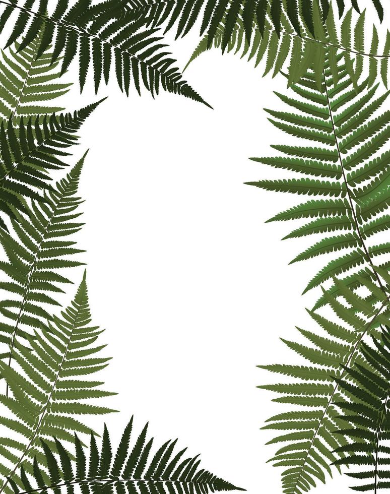 Fern Leaf Vector Background Illustration