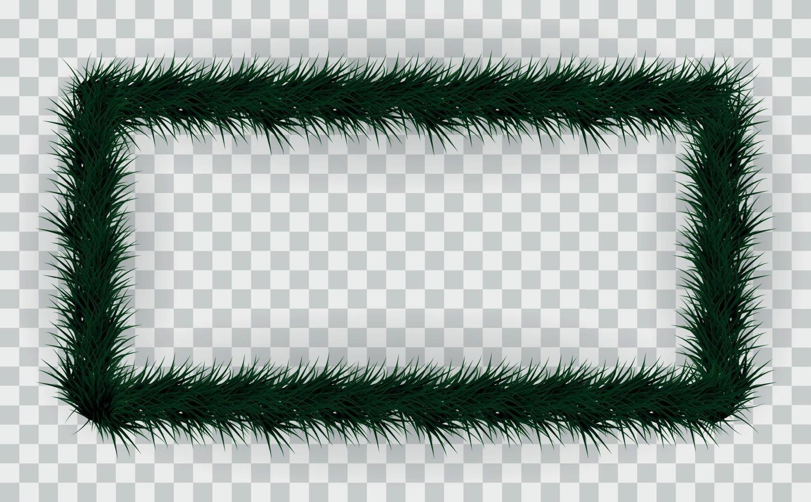Frame of colorful coniferous branches on transparent background. Vector Illustration.