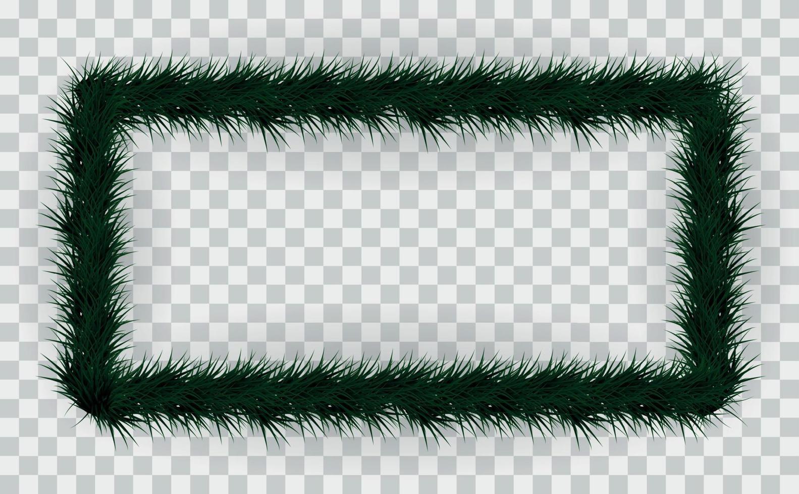 Frame of colorful coniferous branches on transparent background. Vector Illustration.