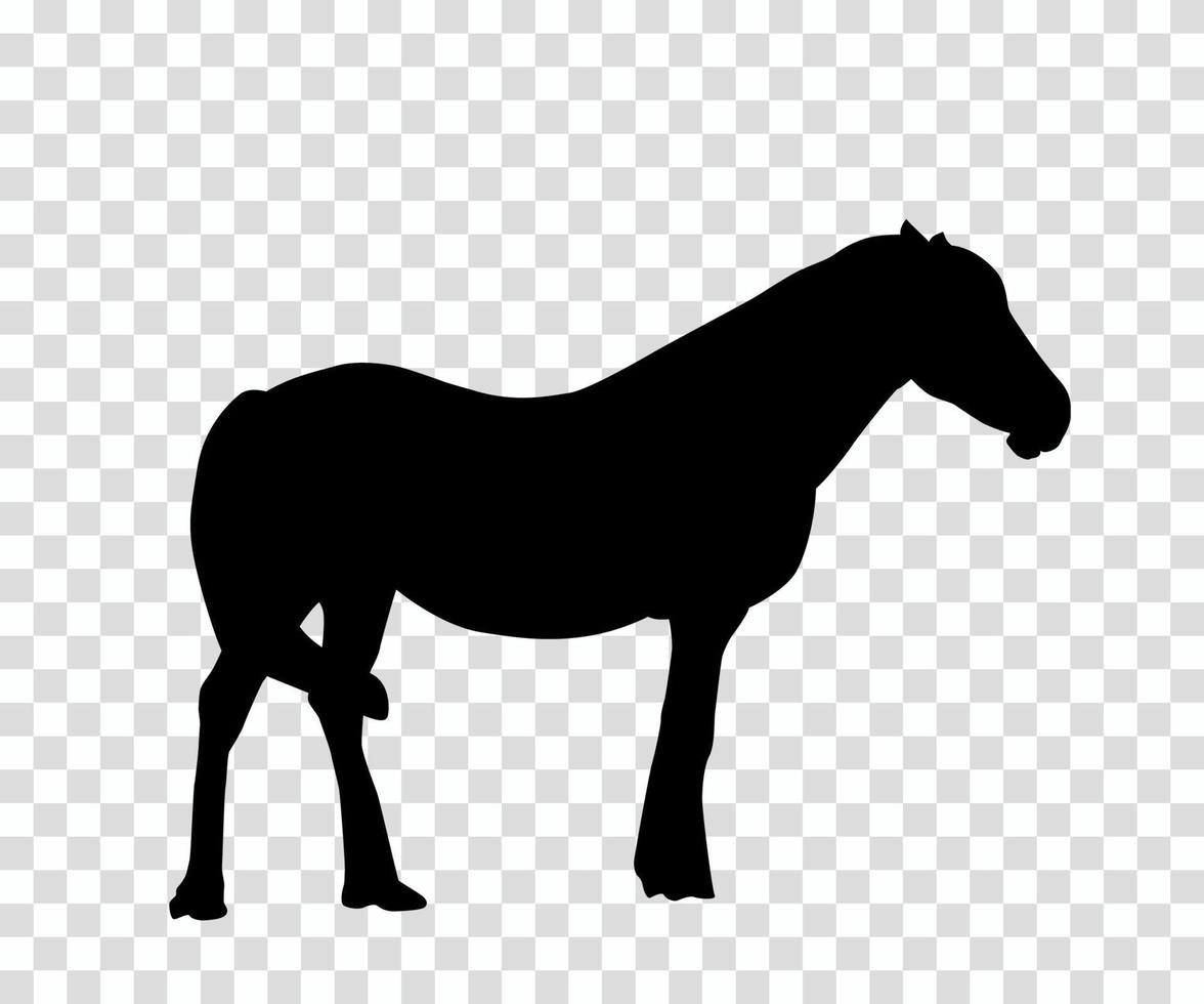 Sticker to car silhouette horse. Vector Illustration.
