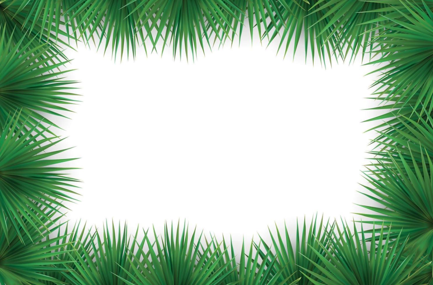 Colorful naturalistic frame from the leaf palm. Vector Illustration.