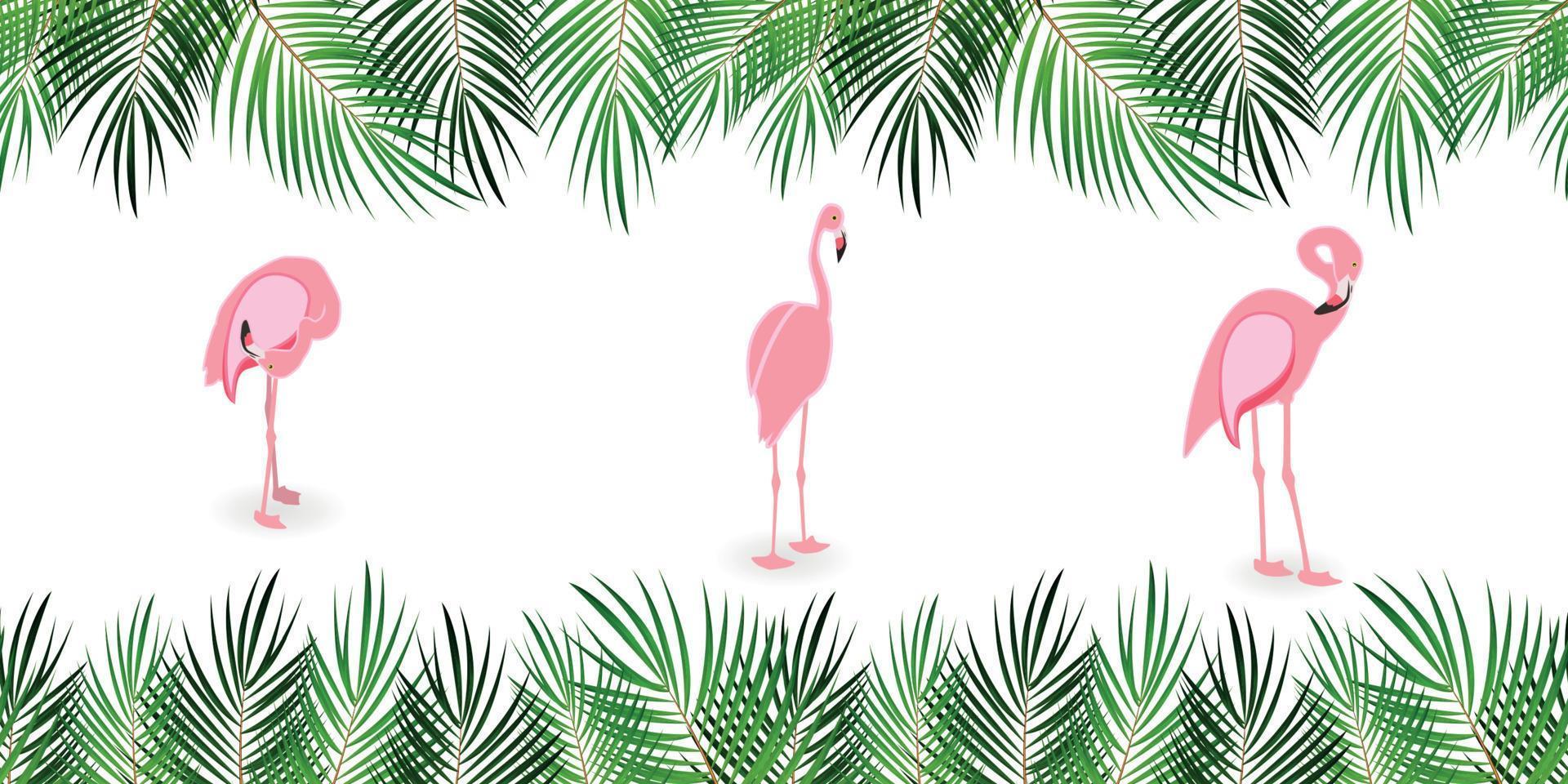 Frame from Palm Leaf with White Background. Vector Illustration.