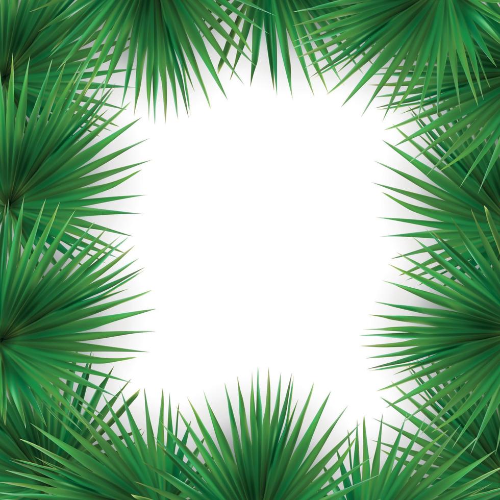 Colorful naturalistic frame from the leaf of the Libistones of Chinese Southern palm. Vector Illustration.