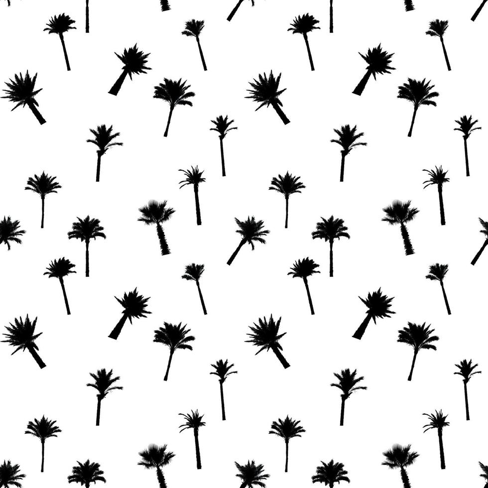 Silhouette of Palm Trees on White Background. Seamless pattern. Vector Illustration.