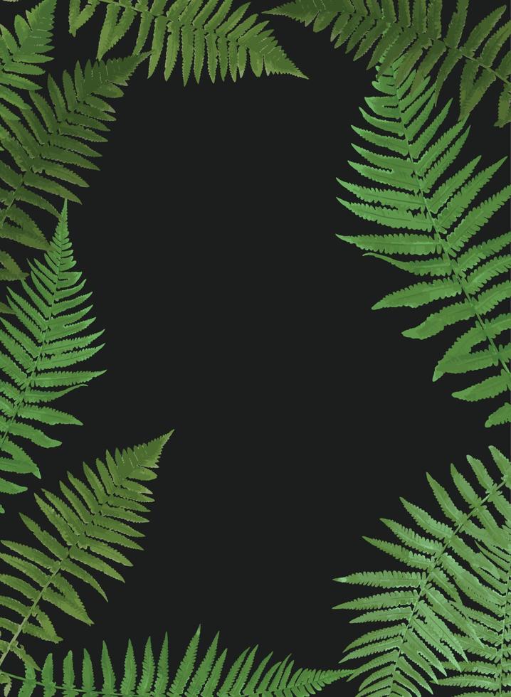 Fern Leaf Vector Background Illustration