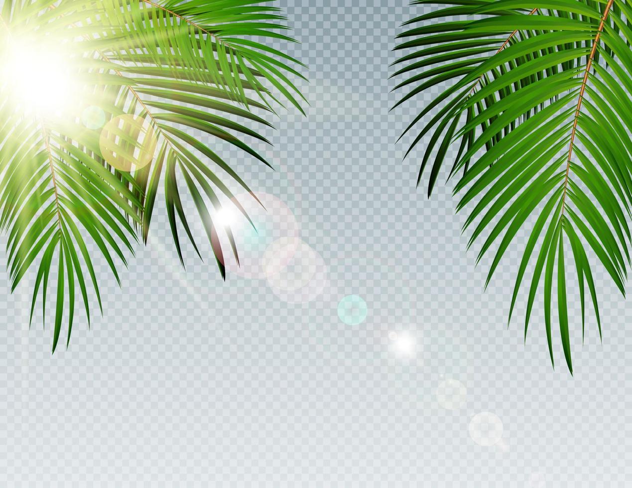 Summer Time Palm Leaf with Sun Burnst on Transparent Vector Background Illustration