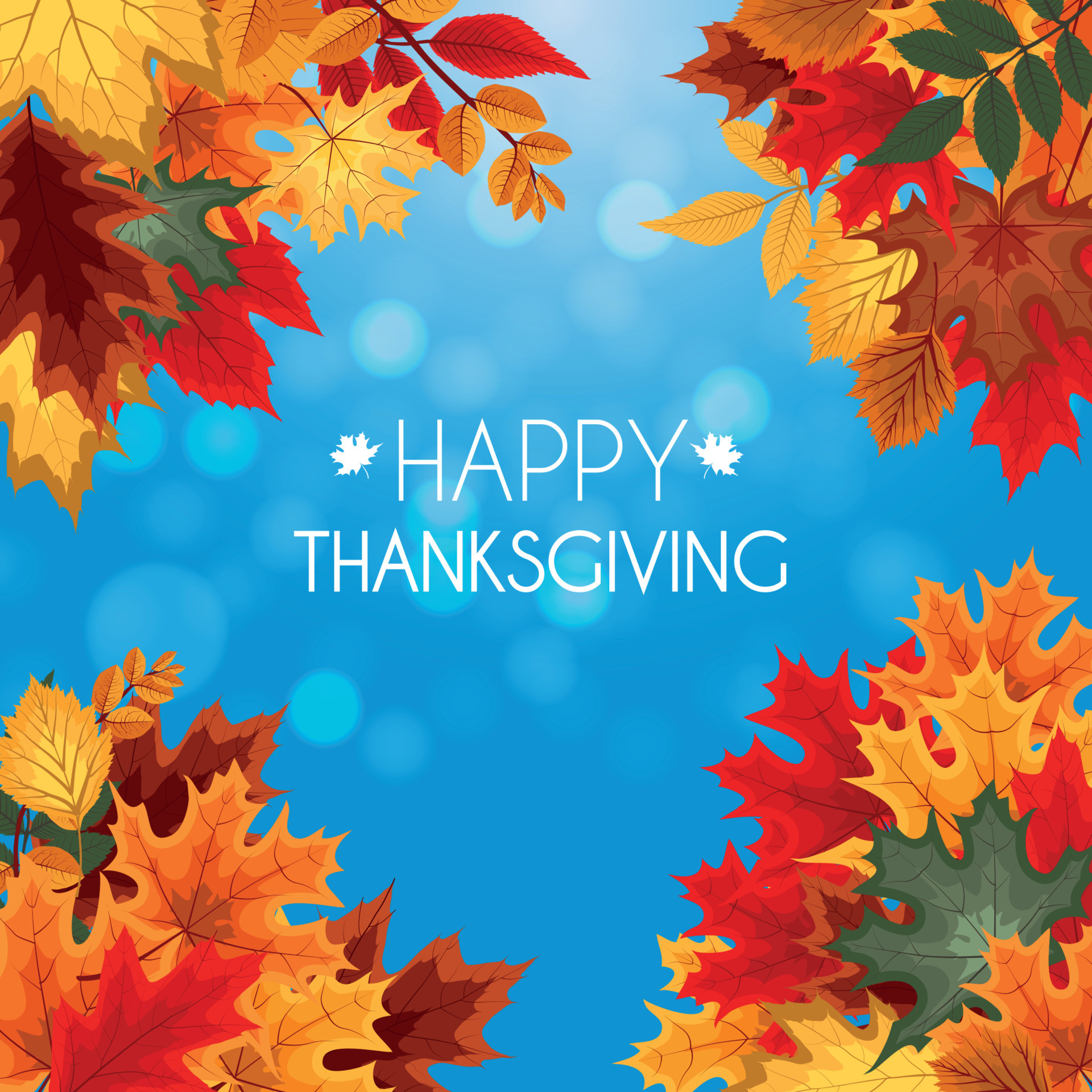 Fall Festival Background Vector Art, Icons, and Graphics for Free Download