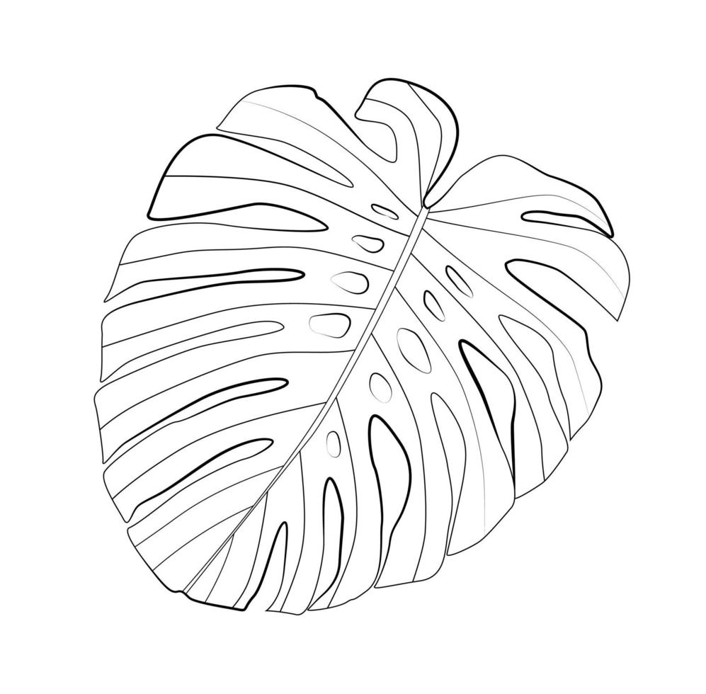 hoja de monstera tropical abstracta. ilustración vectorial vector