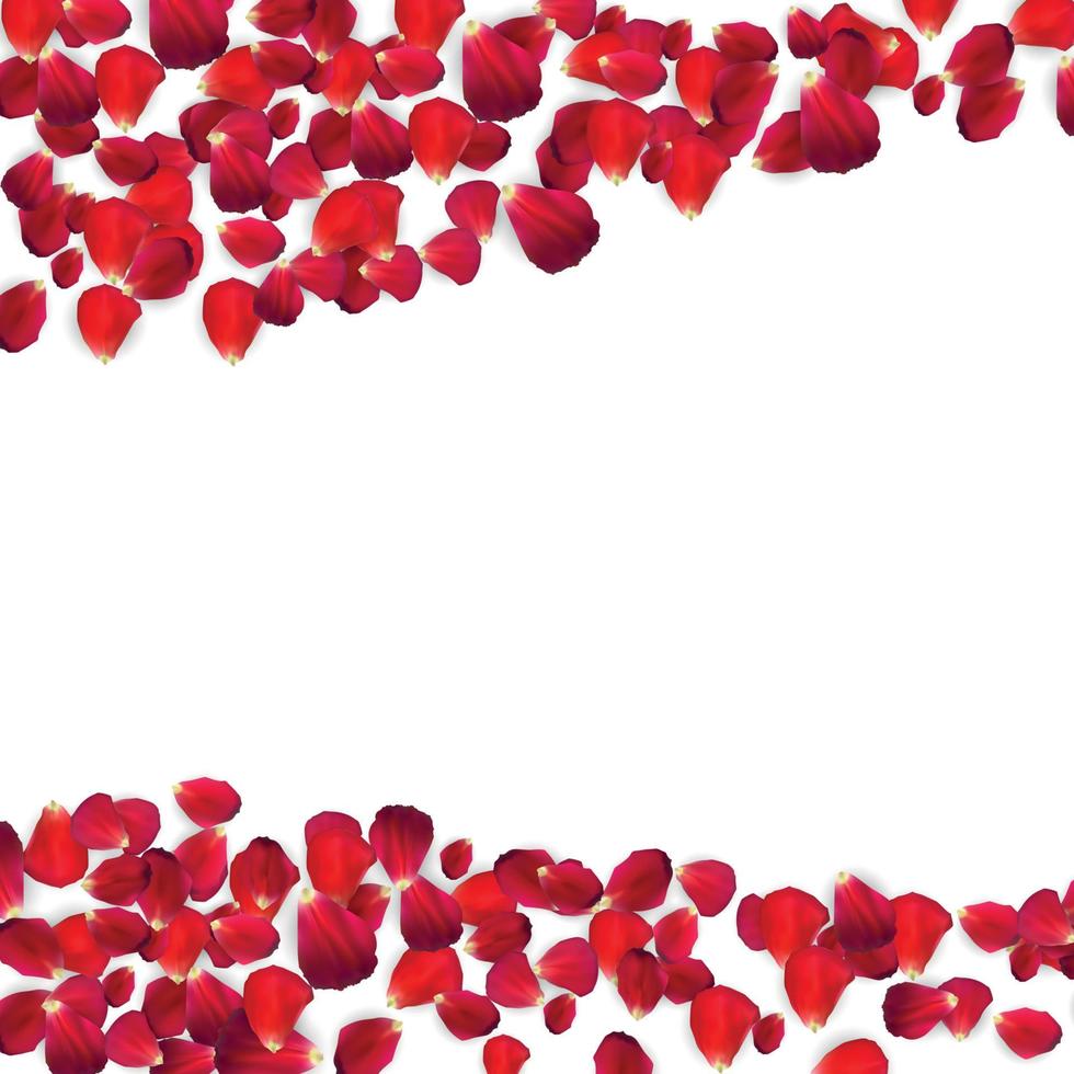 Background of Naturalistic Rose Petals. Vector Illustration