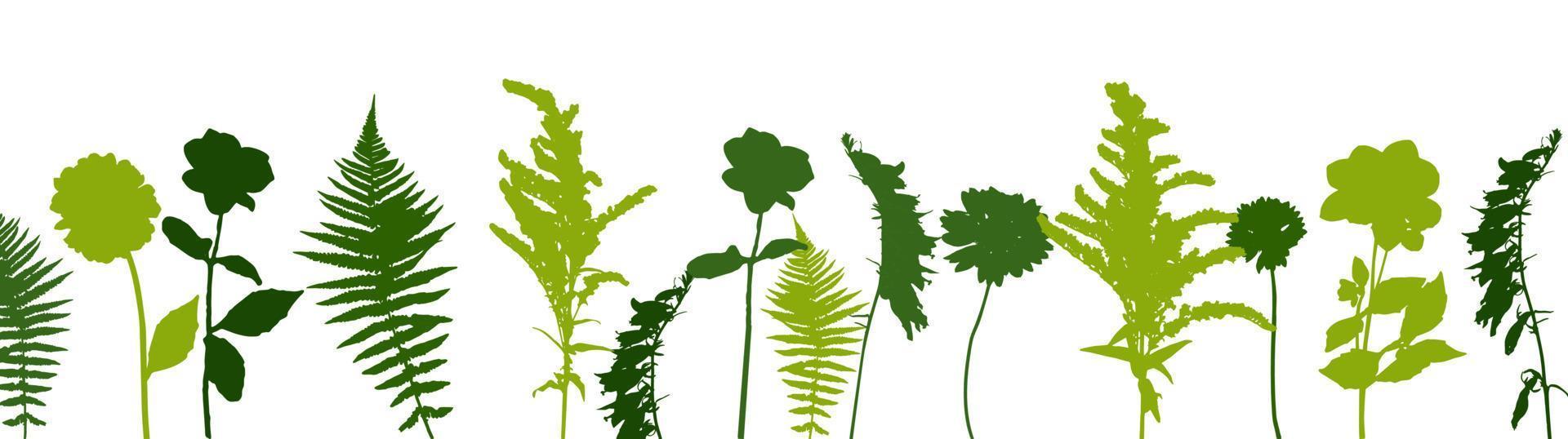 Colorful green twig fern and other plants of nature. Vector Illustration