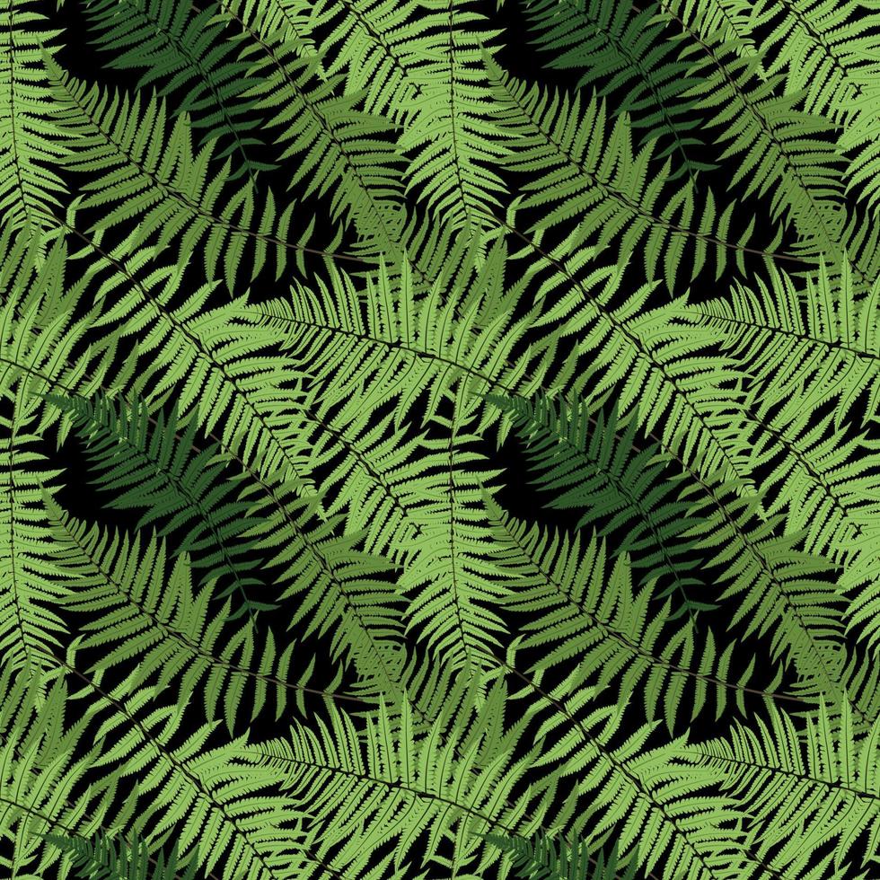 Fern Leaf Vector Fern Leaf Vector Seamless Pattern Background Illustration