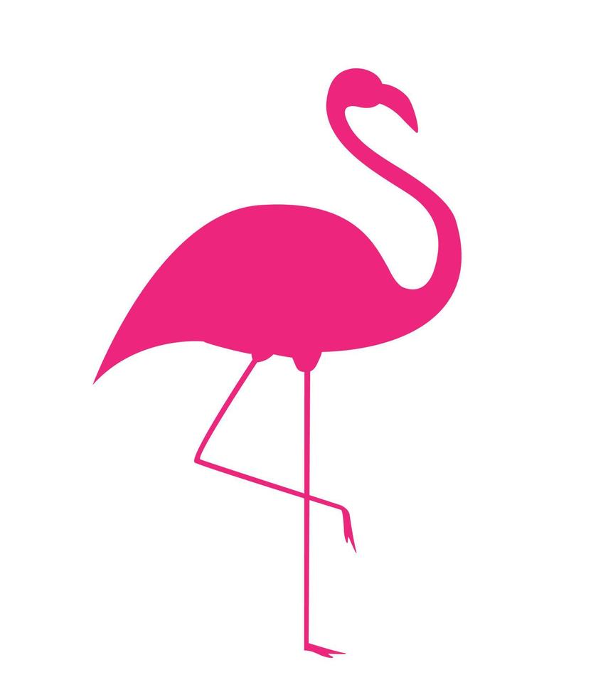 Colorful cartoon pink flamingo on one leg stands on white background. Vector Illustration
