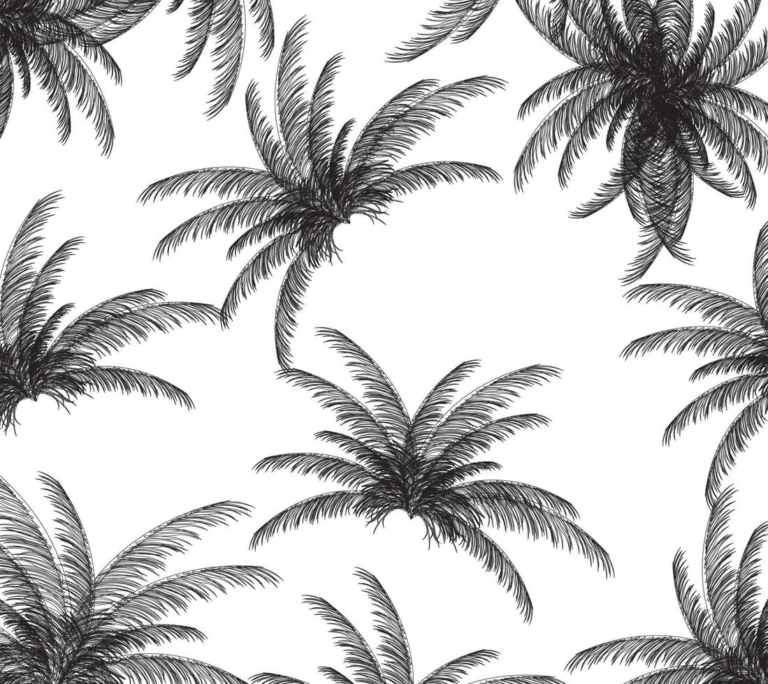 Palm silhouette on White Background. Vector illustration