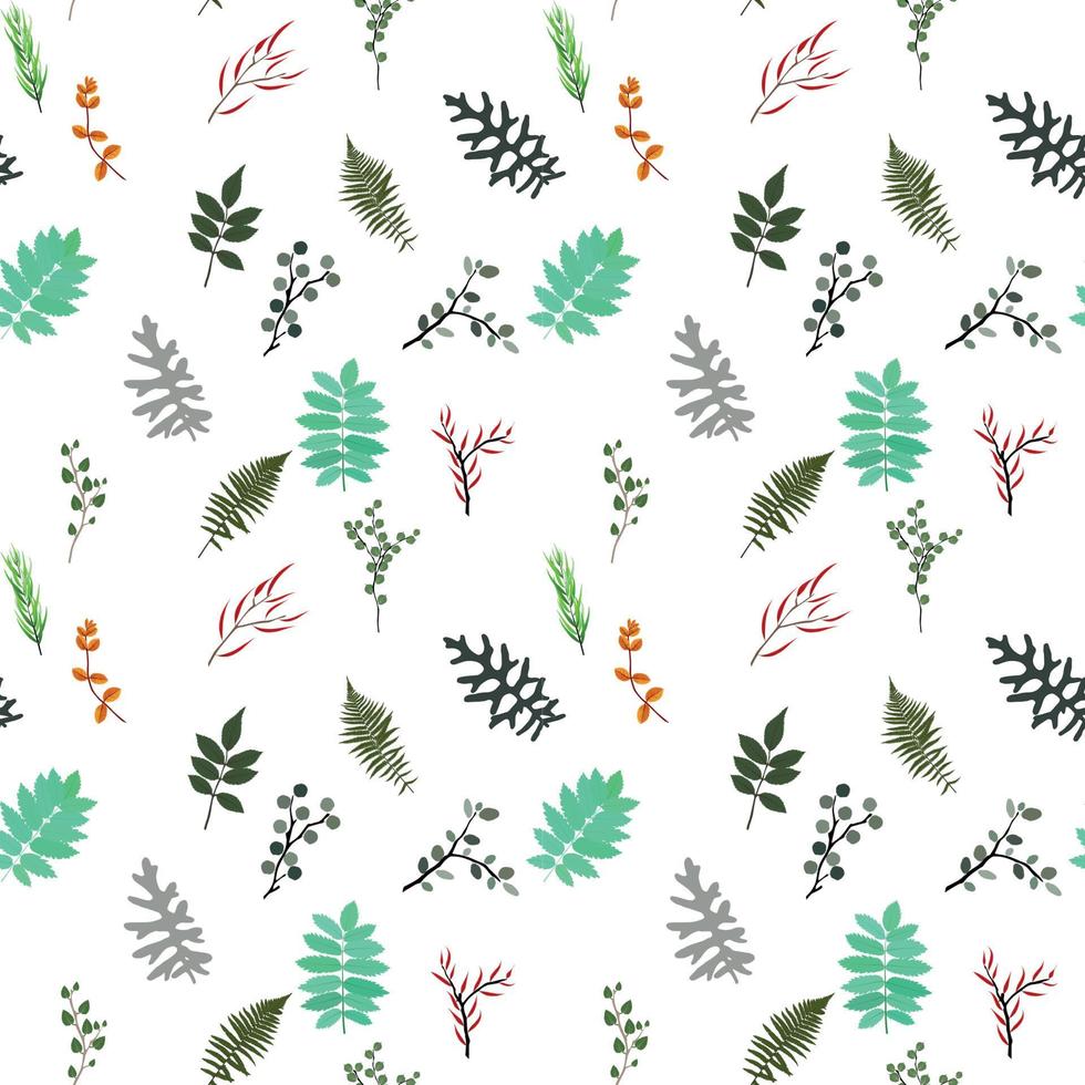 Tropical elements Agonis, Eucalyptus, Annona, Balata, Zamiokulkas, Cissus. seamless pattern. Vector Illustration.