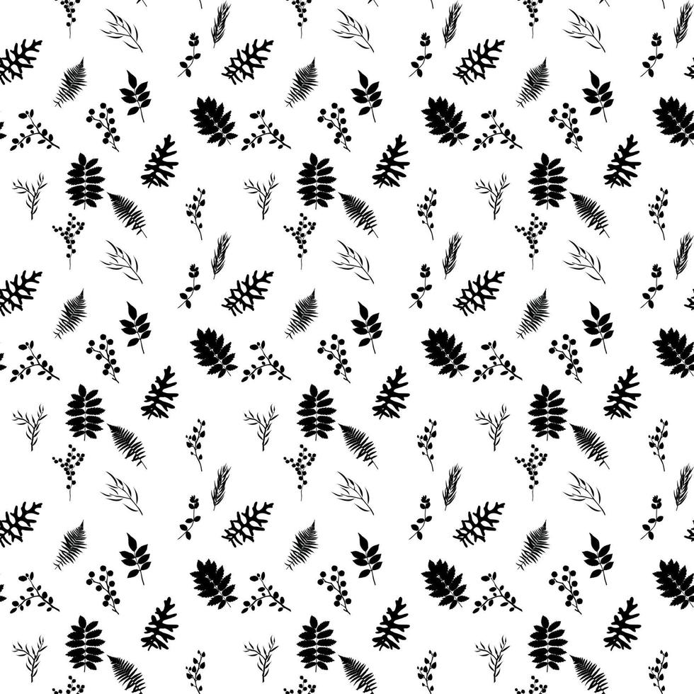 Tropical elements Agonis, Eucalyptus, Annona, Balata, Zamiokulkas, Cissus. seamless pattern. Vector Illustration.