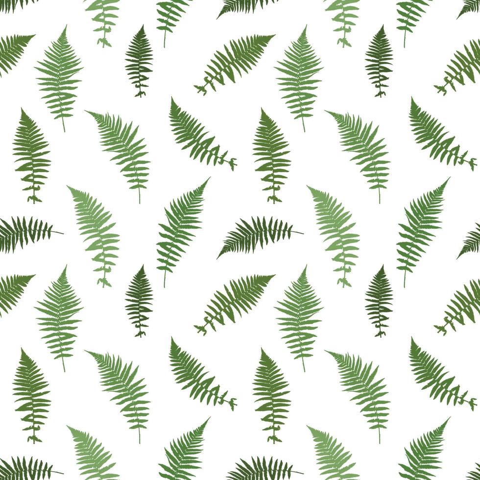 Fern Leaf Vector Background Illustration