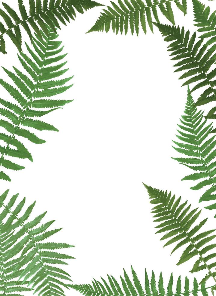 Fern Leaf Vector Background Illustration