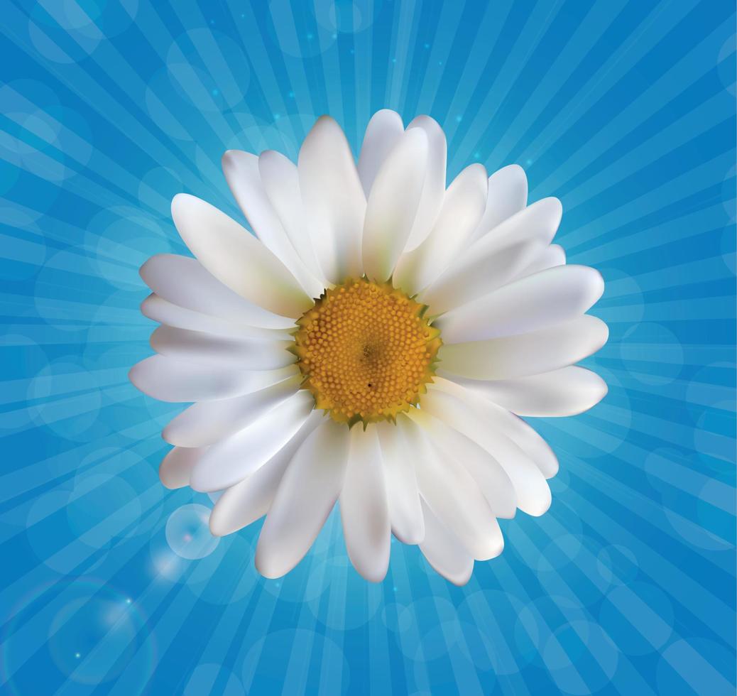 Colorful Naturalistic Beautiful 3D Chamomile Background Vector Illustration