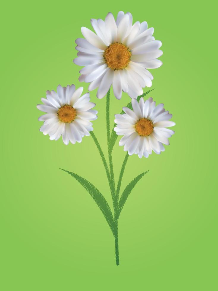 Colorful Naturalistic Beautiful 3D Chamomile Background Vector Illustration