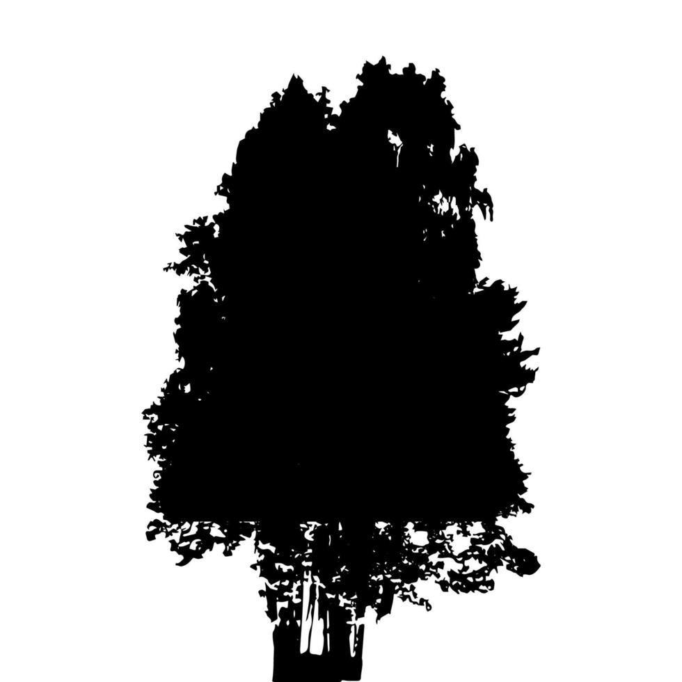 silueta en blanco y negro de árbol de hoja caduca, cuyas ramas se desarrollan con el viento. ilustración vectorial. vector