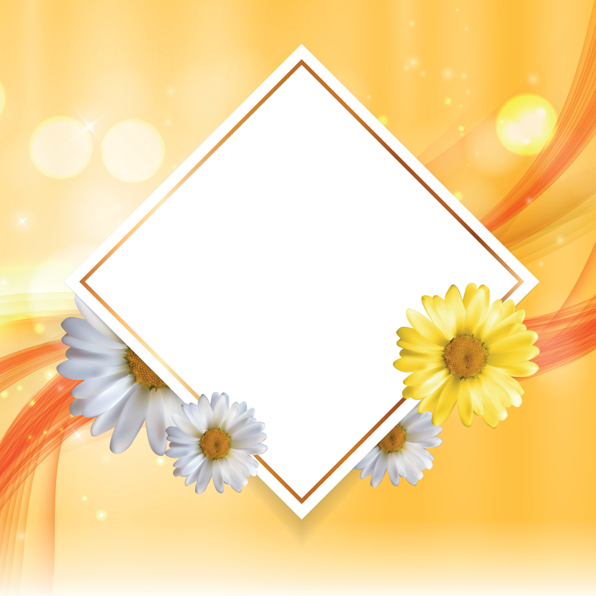 Abstract Natural Floral Frame Background wth Chamomile Flowers. Vector