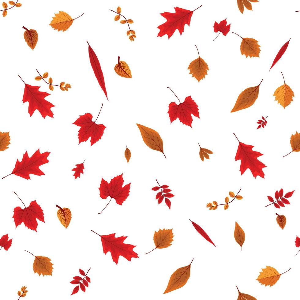 Falling Colorful Autumn Leaves on White Background. Seamless Pattern. Vector Illustration.