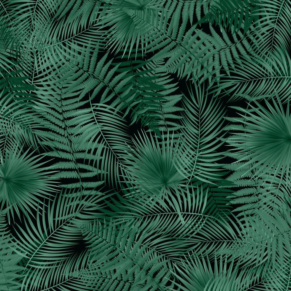 colorido fondo tropical naturalista de la hoja de palma libistones. ilustración vectorial vector