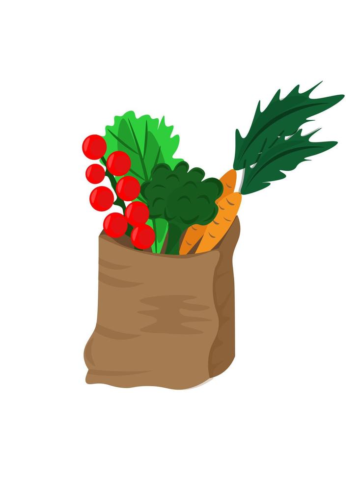 Paper package with fresh healthy produce. Organic products from the farm. Vegetables, salads. Vector illustration