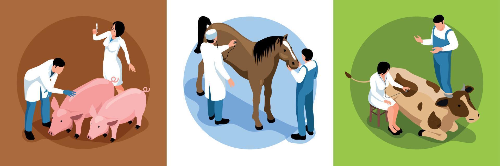 Farm Veterinary Isometric Concept vector