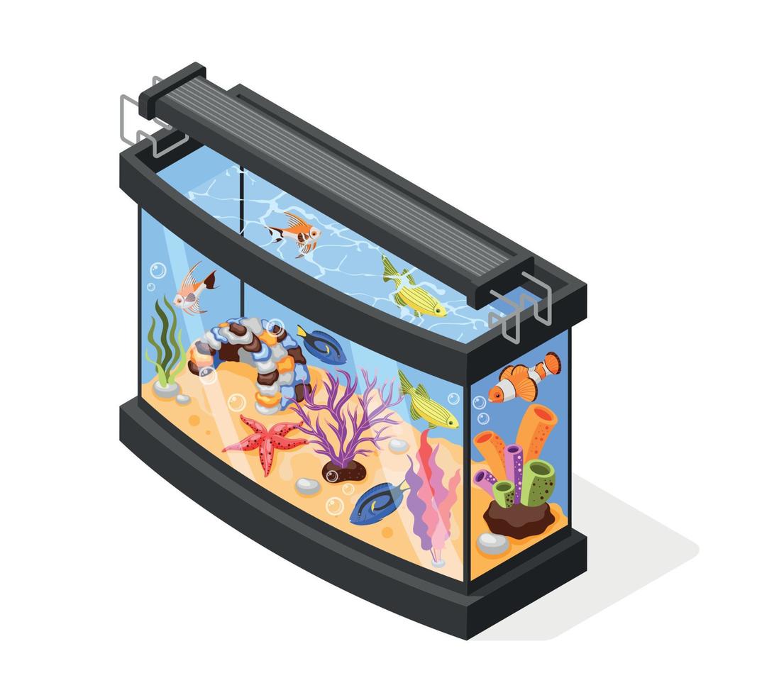 Aquarium Isometric Composition vector