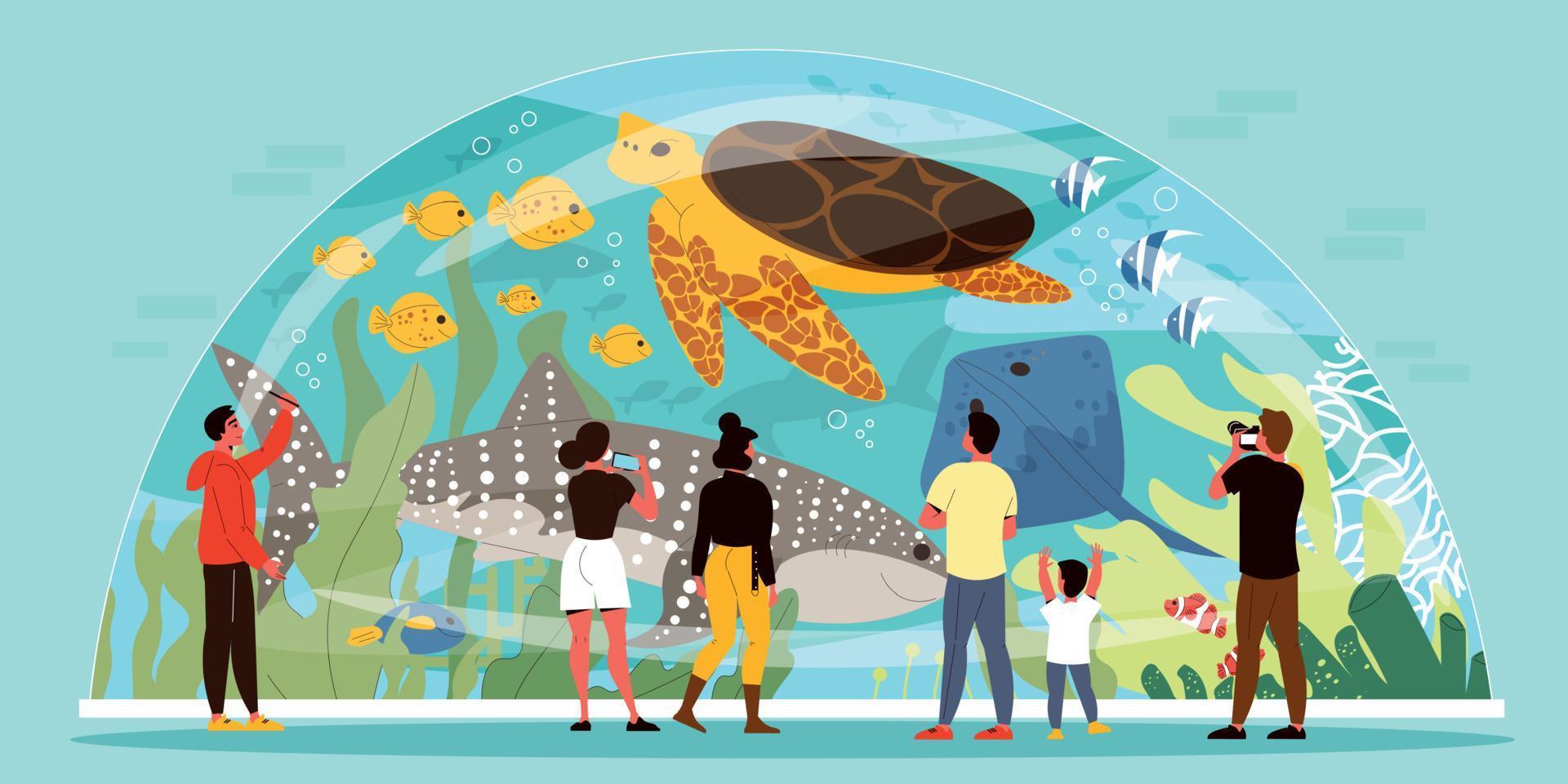 Aquarium Flat Illustration vector