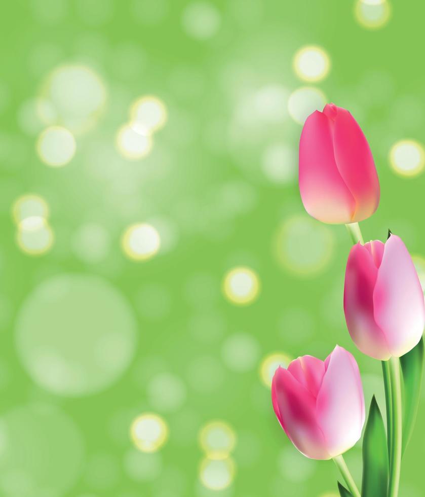 Spring and Summer Tulip Flower Natural Background. Vector Illustration