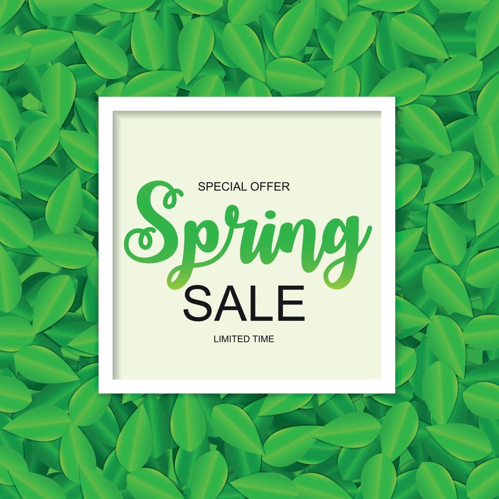 Spring Sale Cute Background with Green Leaves. Vector Illustration