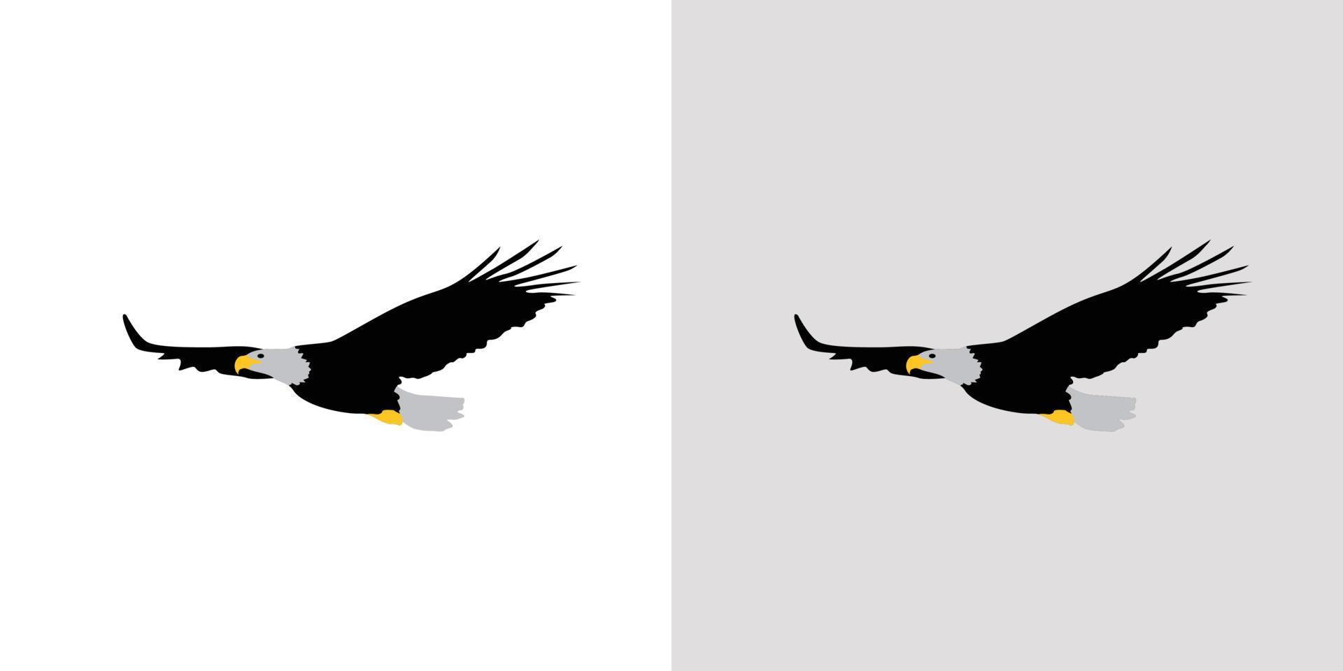 elegante y hermoso vector de ilustración de águila