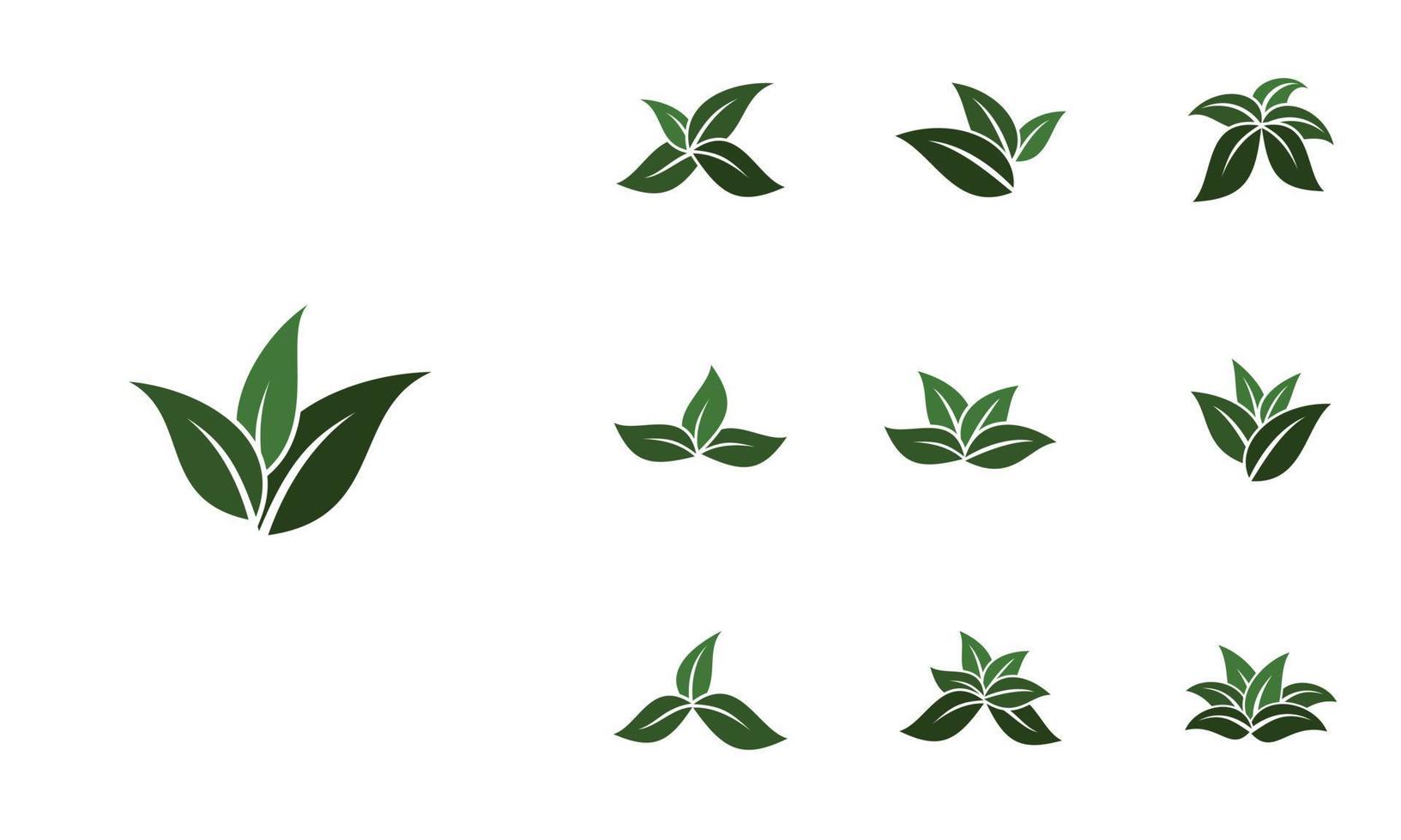 Leaf logo design template, natural design element vector