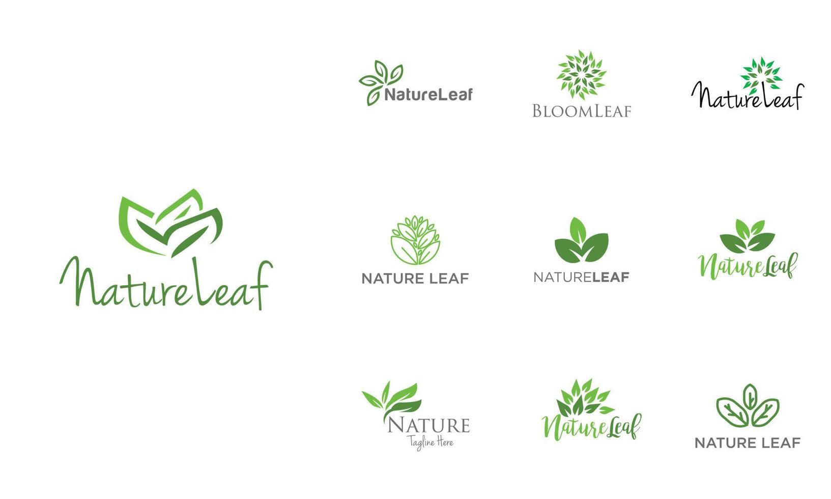 Leaf logo design concept, set of 10 vector