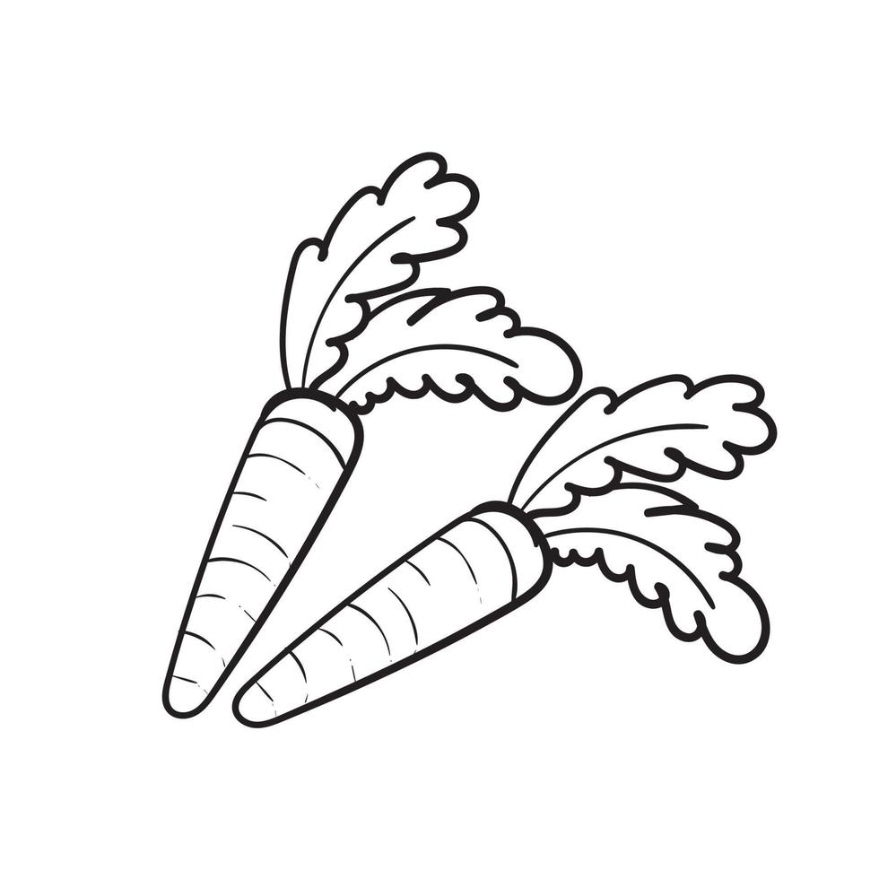 Dibujar a mano doodle zanahoria ilustración vectorial aislado vector