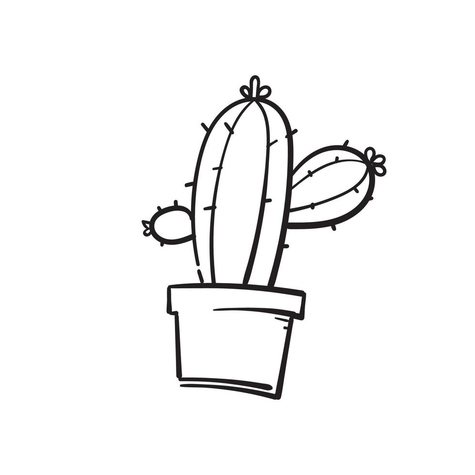 hand drawn doodle cactus illustration vector