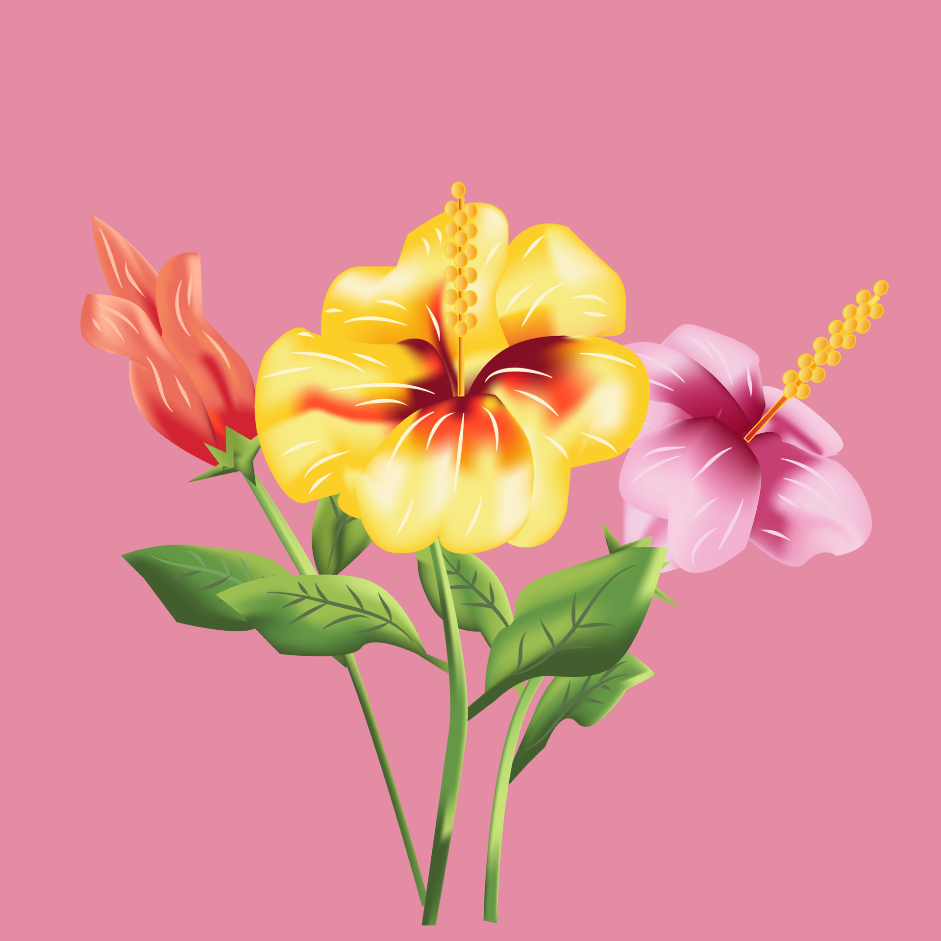 Hibiscus Flower Vector 4567407 Vector Art at Vecteezy