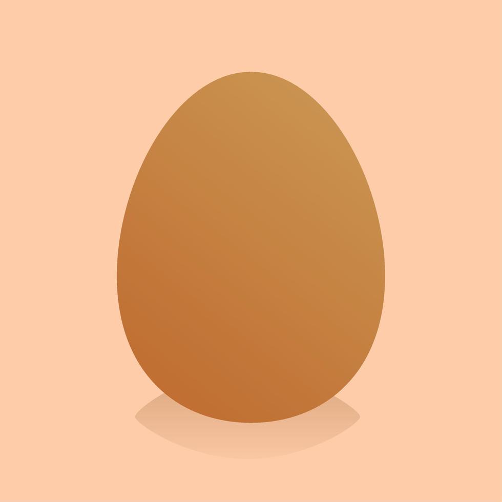 chicken egg. fresh chicken eggs in vector illustration