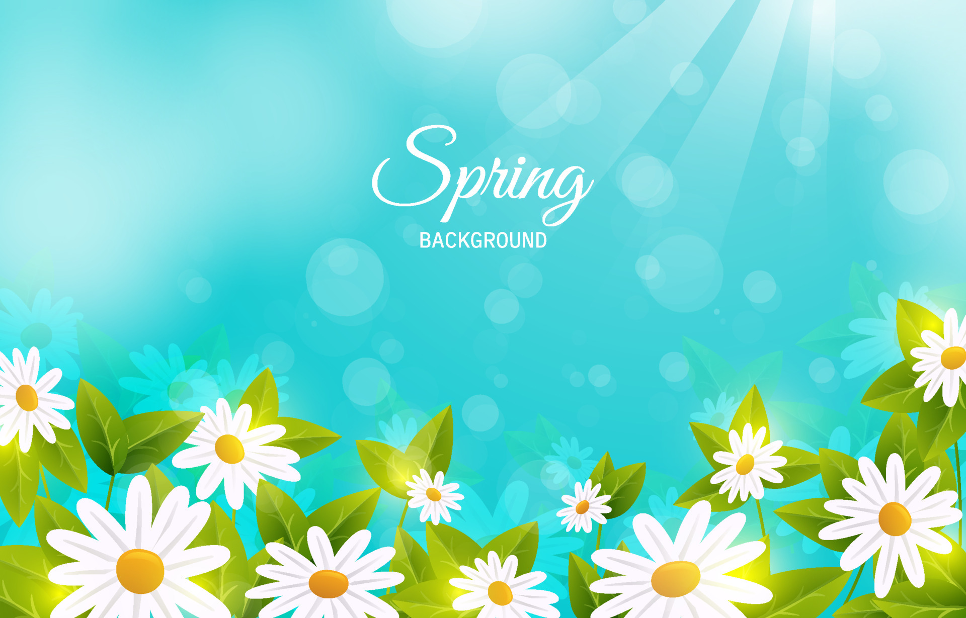 Fresh Spring Flower Background 4567758 Vector Art at Vecteezy