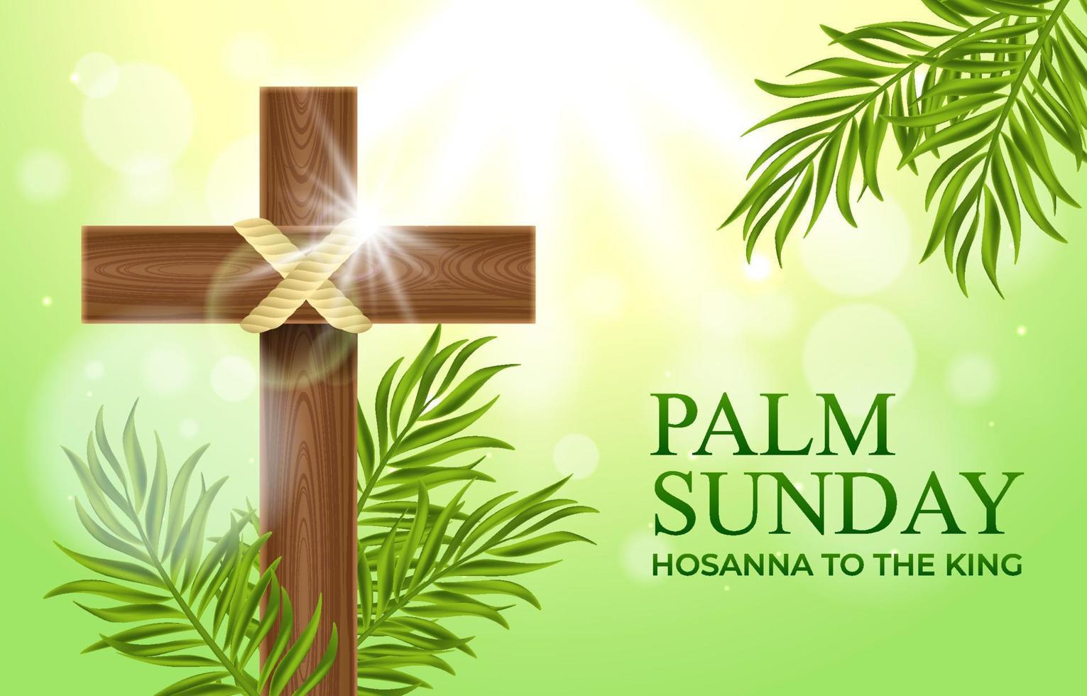 Palm Sundya Background vector